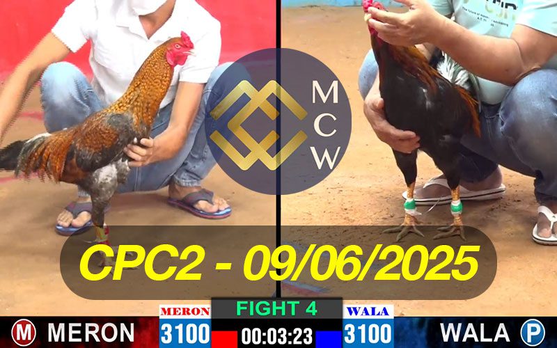 ĐÁ GÀ TRỰC TIẾP CPC2 NGÀY 09/06/2025