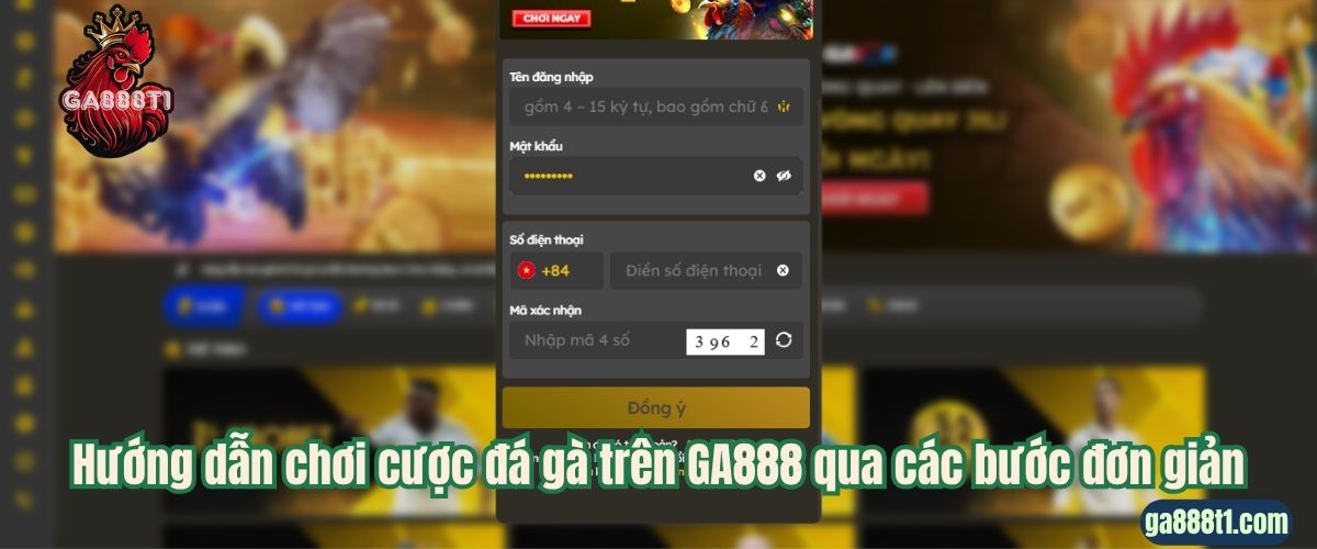 Hướng dẫn chơi cược đá gà trên GA888 qua các bước đơn giản